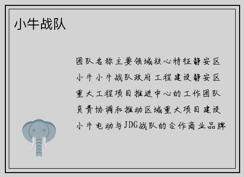 小牛战队